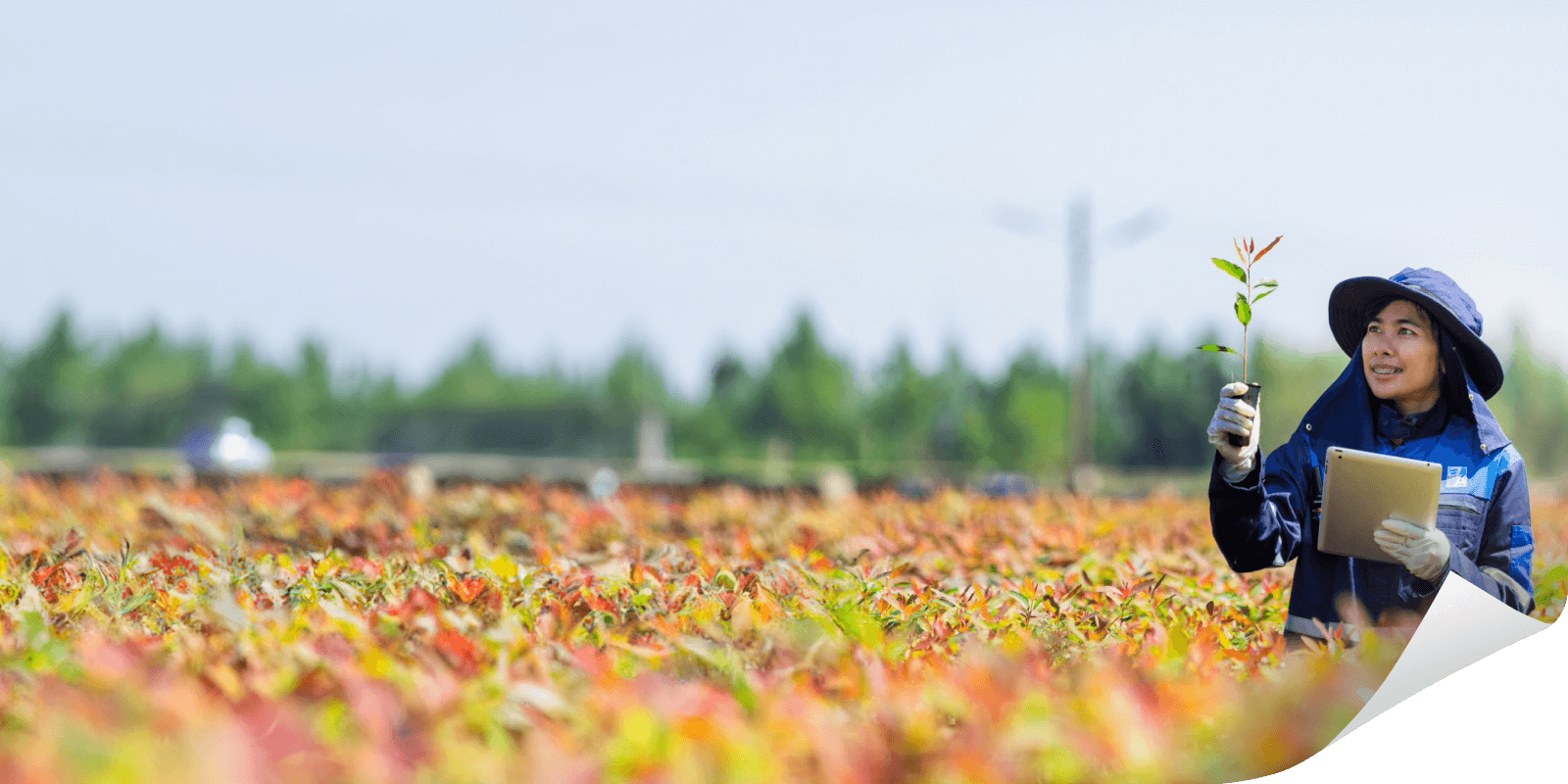(2.4)-Better-Paper,-Better-World + A4-Paper-PSD-MockUp-coner Mask (1).png